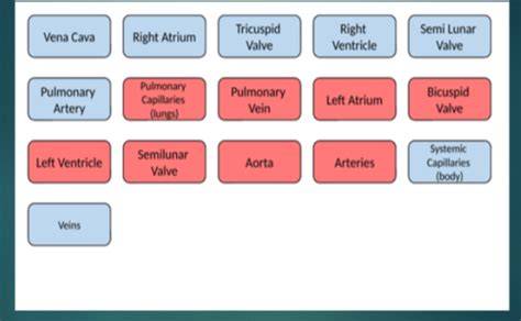 Rte Unit Cardiac And Ekg Emergency Procedures Flashcards Quizlet