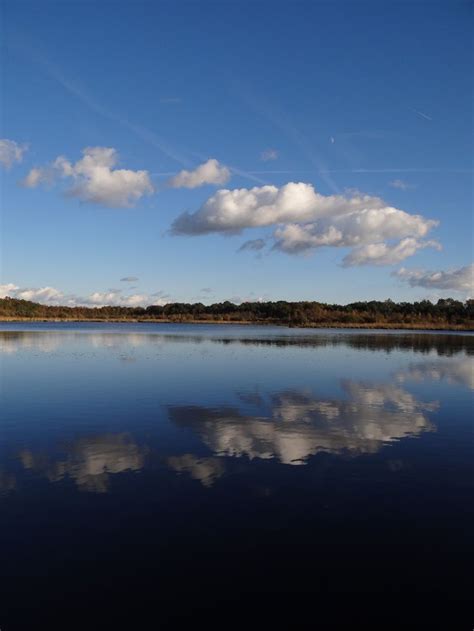 Etang de Sologne Nançay Novembre 2013 Sologne Etang Vallée des rois