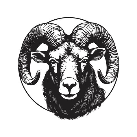 aoudad, vintage logo concept black and white color, hand drawn ...