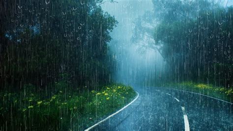 Barulho De Chuva Torrencial E Vento Forte Na Bela Estrada Tranquila