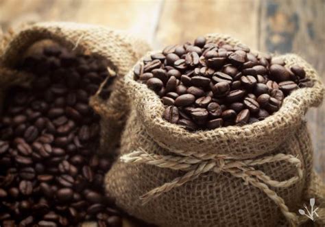 Guide To The Best Colombian Coffee | KitchenSanity