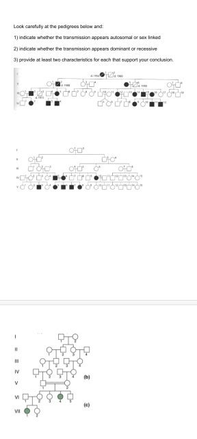 Solved Look Carefuly At The Pedigrees Below And Indicate Chegg