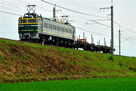 鉄道定番紀行 湖西線を行くef81牽引のチキ工臨（近江中庄～近江今津）