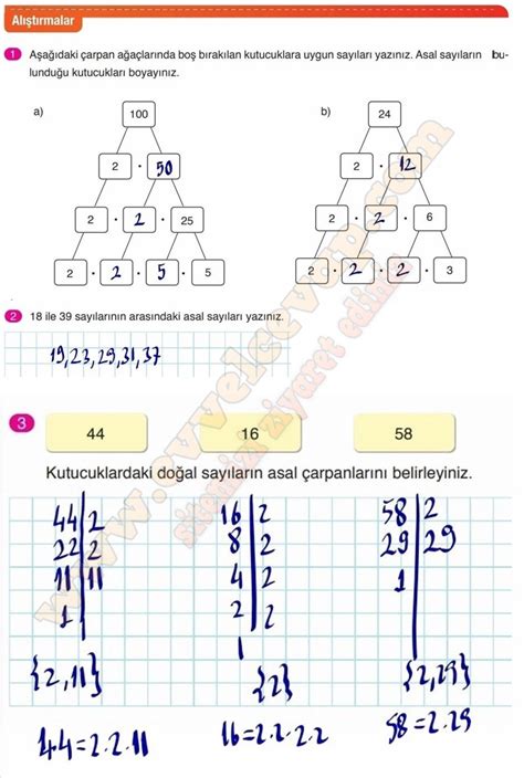 6 Sınıf Matematik Ders Kitabı Cevapları Ata Yayıncılık Sayfa 44