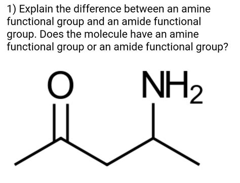 Solved 1 Explain The Difference Between An Amine Functional