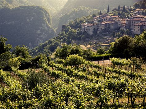 5 Under-the-Radar International Wine Regions to Visit — Daily Passport