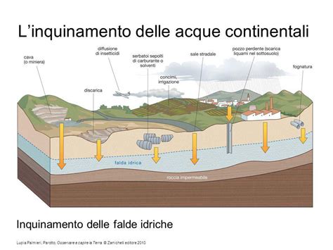 Inquinamento Delle Acque Continentali Verona News