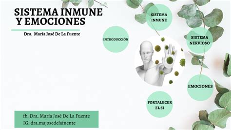 Sistema Inmune Y Emociones By Maria Jose De La Fuente On Prezi