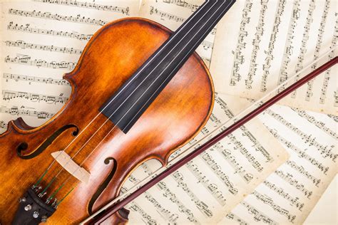 18 Fascinating Violin Facts About the King of Strings - Facts.net