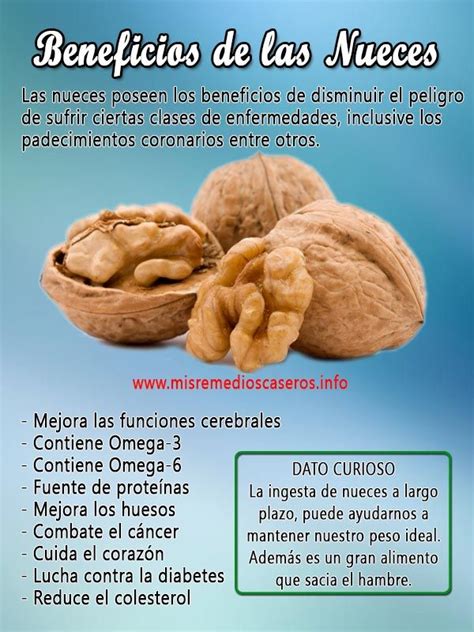 Beneficios De Las Nueces Frutas Y Verduras Beneficios Frutas Y