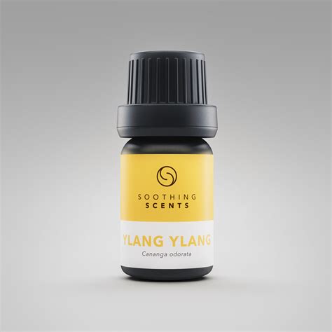 Ylang ylang oil [5ml] - Soothing Scents