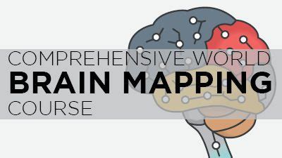 Comprehensive World Brain Mapping Course Afkebooks