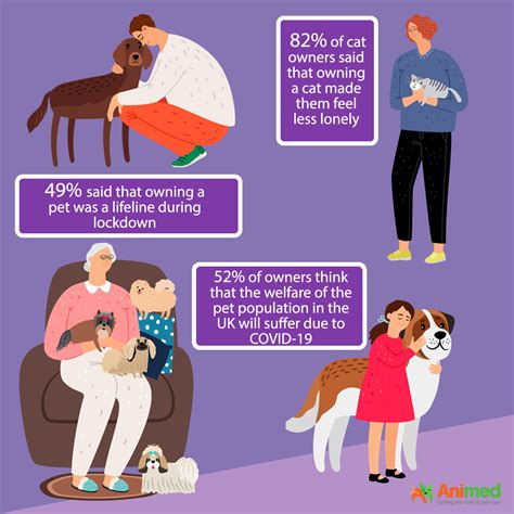 The Impact Of Covid On Our Pets Animed Direct