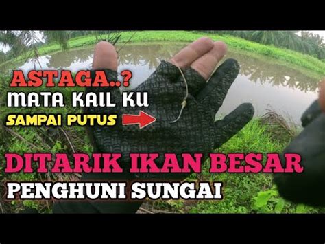 Tarikan Ikan Paling Kuattali Mata Kail Sampai Putus Ditarik Ikan