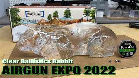 AE22 Clear Ballistics Rabbit VS Umarex Origin 25 ATN LTV JSB 25