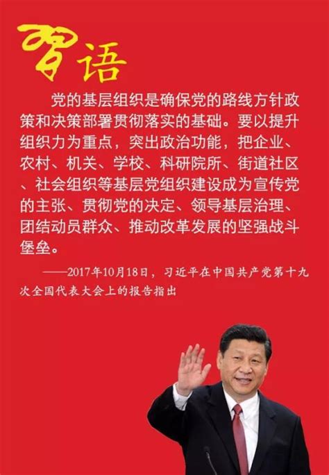 执政之基——习近平对基层党组织的新要求理论之光