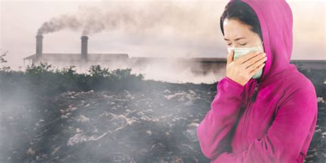 Contaminación auditiva Colombia Verde