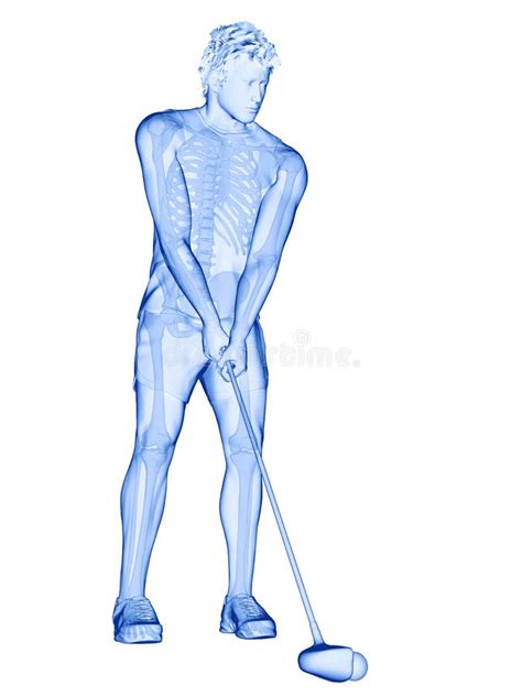 The Skeleton Of A Golf Player Stock Illustration Illustration Of