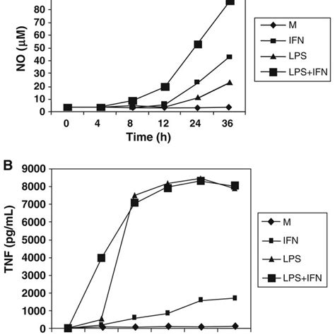 PDF LPS Induced Formation of Immunoproteasomes TNF α and Nitric