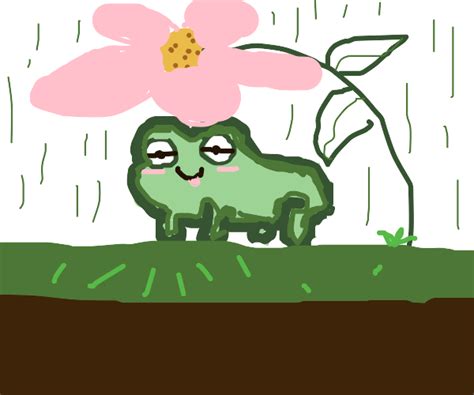 Frog Under A Flower On Rainy Day Drawception
