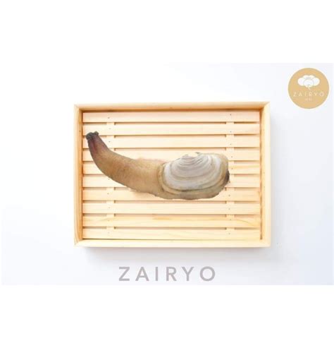 Mirugai Geoduck みるがい