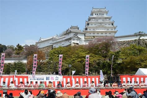 姫路城観桜会【2019年4月6日】 みたい まるはり×みたい ｜みつけて播磨（姫路、加古川など）情報サイト（旧：姫路みたい）