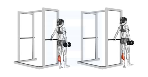 Standing Calf Raise Guide Benefits And Form