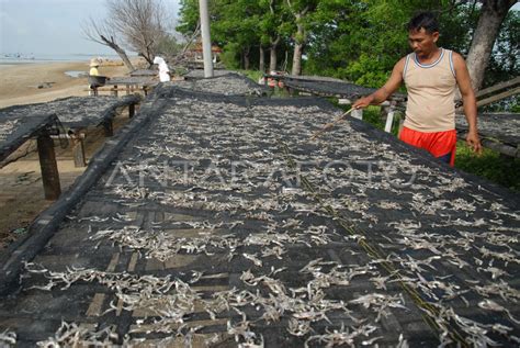 PERMINTAAN MENINGKAT ANTARA Foto