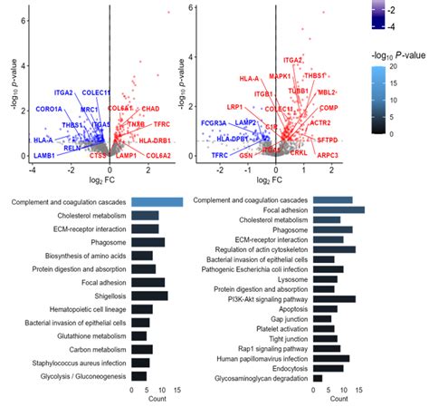 Protein Expression Analysis A Differentially Expressed Proteins