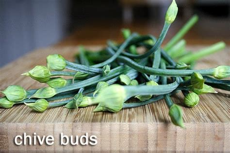 Stir Fried Chive Buds Easy Delicious Recipes