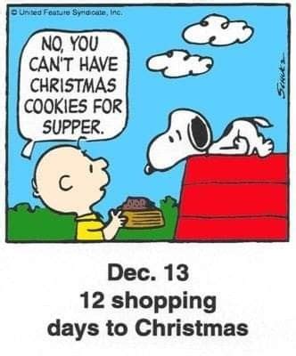 A Charlie Brown Christmas Card With Peanuts Saying No You Can T Have