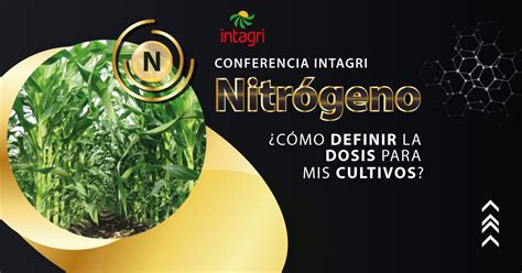 Curso Virtual Nitr Geno C Mo Definir La Dosis Para Mis Cultivos