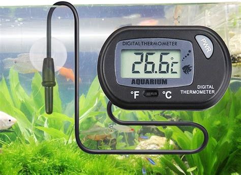 5 Best Aquarium Heaters And Thermometers In 2024 SKINGROOM