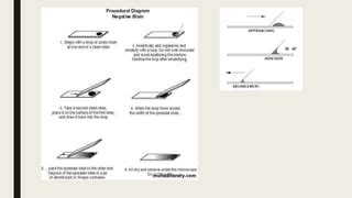 Negative staining | PPT