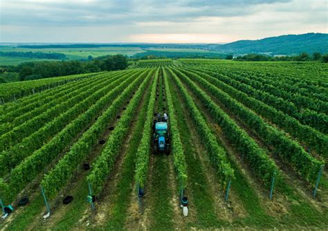 Wojciechowski Con Nuova Pac Agricoltura Ue Pi Sostenibile