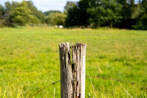 Single Rotting Wooden Fence Post With Barbed Wire On A Landscape Meadow
