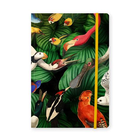 Carnet à couverture souple A5 Oiseaux Musée Teylers Museum webshop