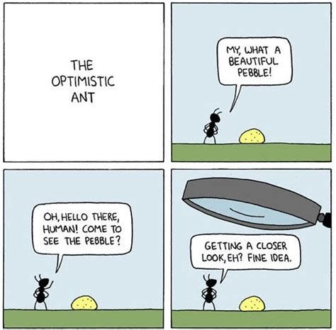 The Optimistic Ant Funny Pictures Humor Ants