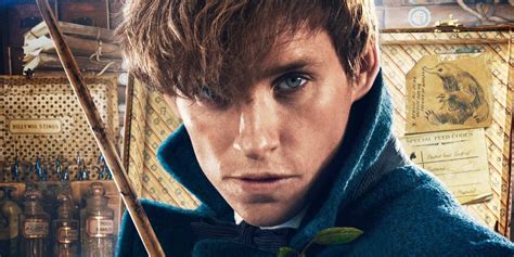 What Happens To Newt Scamander After Fantastic Beasts