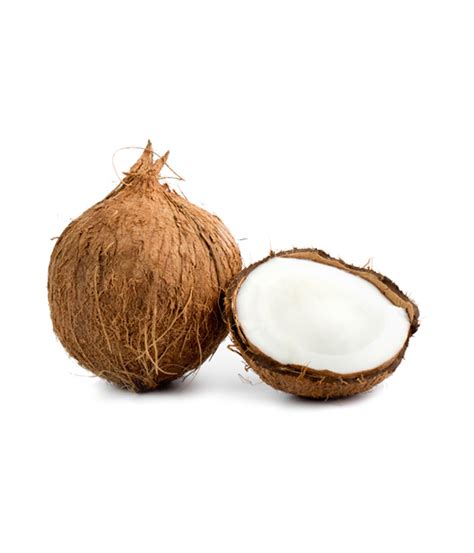 Coconut - AP Exporters