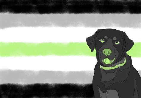 Agender Flag Wallpaper Dog