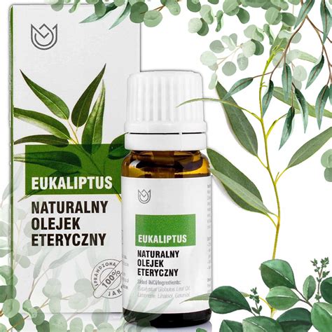 Naturalny Olejek Eteryczny Eukaliptus Eukaliptusowy Na Kaszel Katar