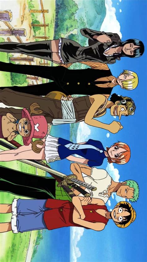 Straw Hat Pirates - One Piece | Anime book, Anime, Manga drawing