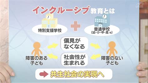 【情報＆資料】共生社会を目指すインクルーシブ教育とは？ ＜特別支援教育＞ 平等と公平、合理的配慮 宝塚市から全国へ★宝塚発達コミュニティ