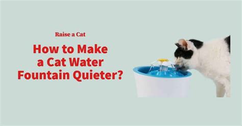 How To Make A Cat Water Fountain Quieter Full Guide