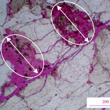 Scanning Electron Microscope Photomicrographs Showing Pore Space And