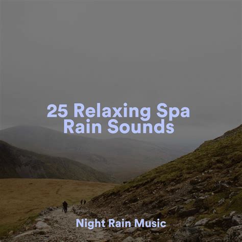 25 Relaxing Spa Rain Sounds Album By Sonido De Lluvia Spotify