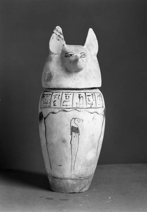 Canopic Jar With Jackal Head The Walters Art Museum