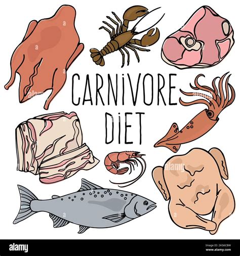 Carnivore Diet Organic Healthy Food Proper Nutrition Mind Eating Vector Illustration Set Stock