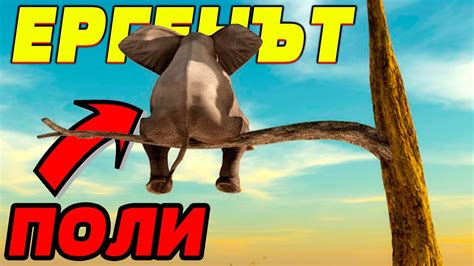 ЕРГЕНЪТ раздава безплатни херпеси на всички - YouTube